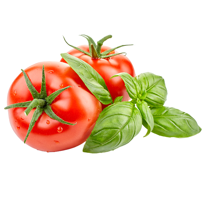 SINGULAR_CATEGORIES_0002_SAUCES