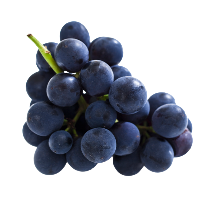SINGULAR_CATEGORIES_0003_vinegar
