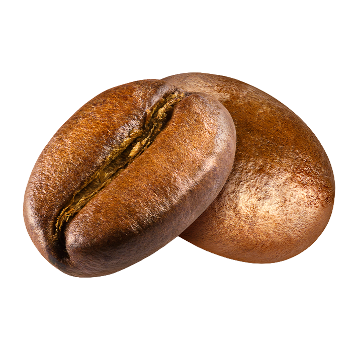 SINGULAR_CATEGORIES_0009_COFFEE